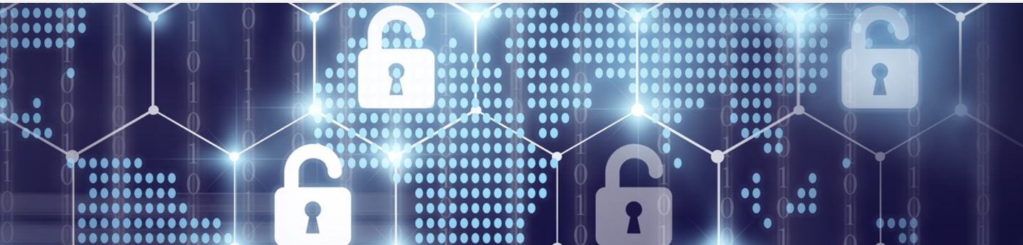 Maintaining Privacy